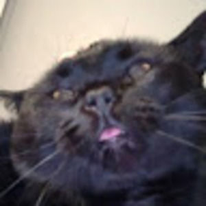 Meet your Posher, Krista